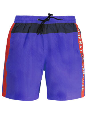 NORUEGA 1963 HOMBRE AZUL BAJO DISFRAZ